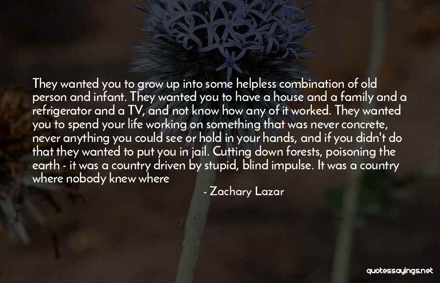 Nobody Can Put Me Down Quotes By Zachary Lazar Nobody Can Put Me Down Quotes By Zachary Lazar