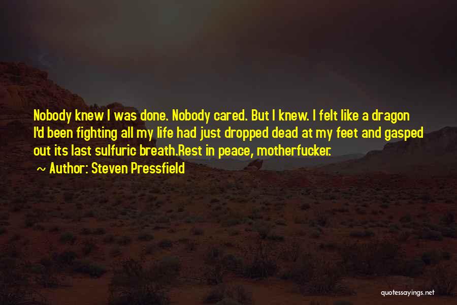 Nobody Cared For Me Quotes By Steven Pressfield