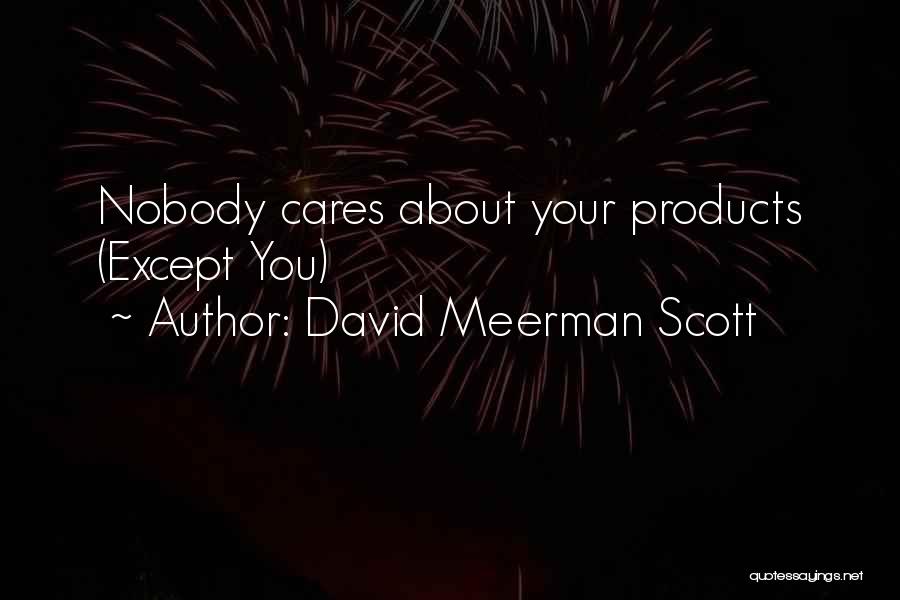 Nobody Cares About You Quotes By David Meerman Scott