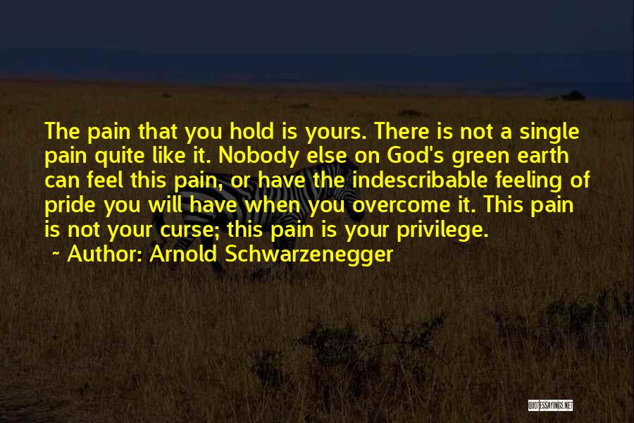 Nobody Else Quotes By Arnold Schwarzenegger