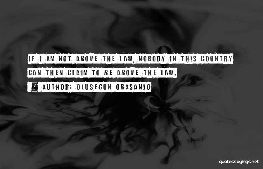 Nobody Is Above The Law Quotes By Olusegun Obasanjo