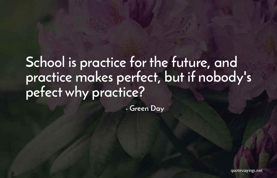 Nobody Is Perfect Quotes By Green Day Nobody Is Perfect Quotes By Green Day