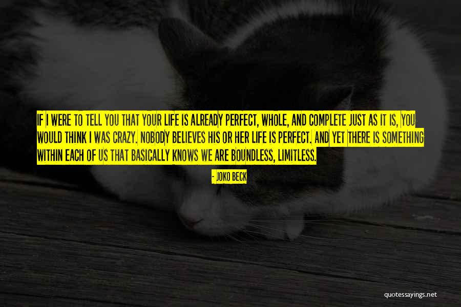Nobody Is Perfect Quotes By Joko Beck Nobody Is Perfect Quotes By Joko Beck