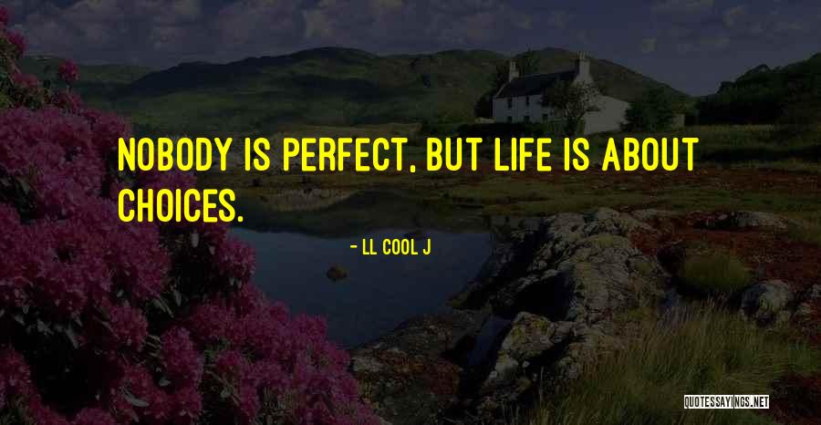 Nobody Is Perfect Quotes By LL Cool J Nobody Is Perfect Quotes By LL Cool J