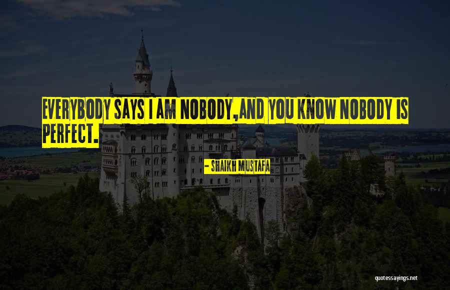 Nobody Is Perfect Quotes By Shaikh Mustafa Nobody Is Perfect Quotes By Shaikh Mustafa