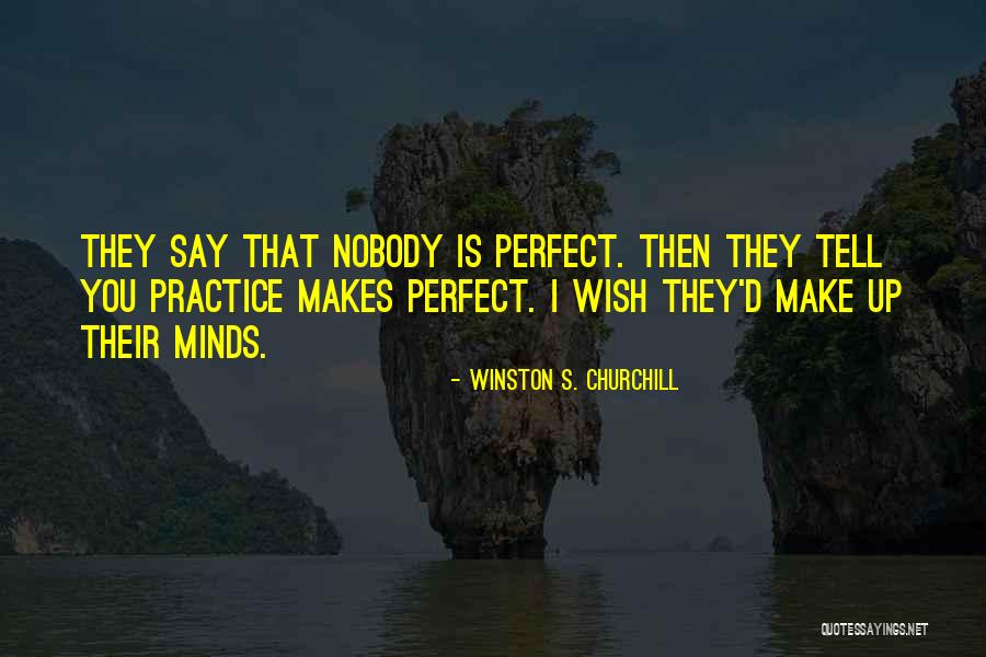Nobody Is Perfect Quotes By Winston S. Churchill Nobody Is Perfect Quotes By Winston S. Churchill