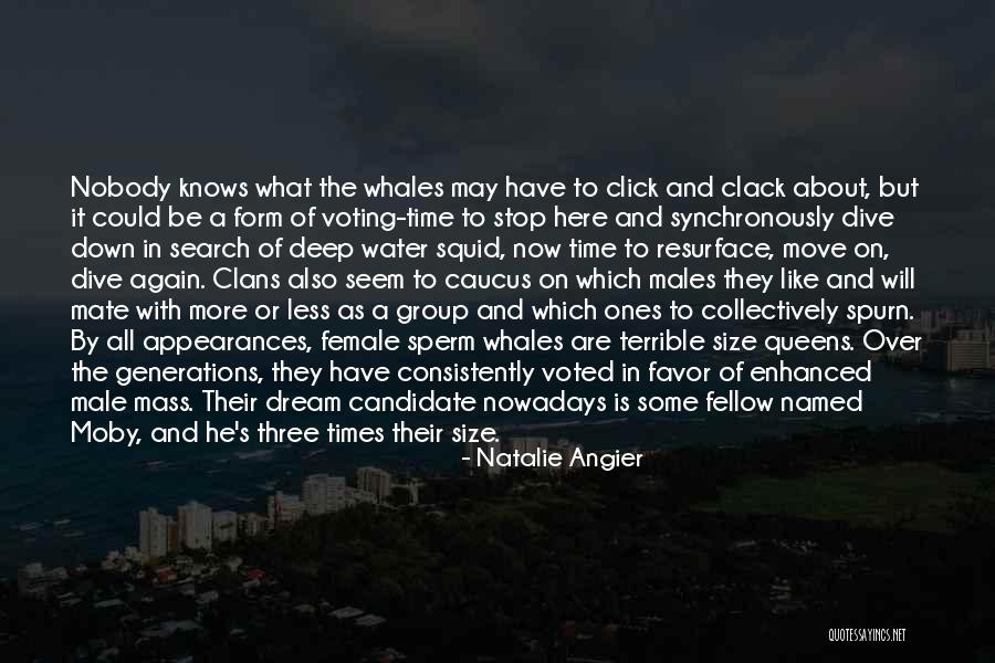 Nobody Is What They Seem Quotes By Natalie Angier Nobody Is What They Seem Quotes By Natalie Angier