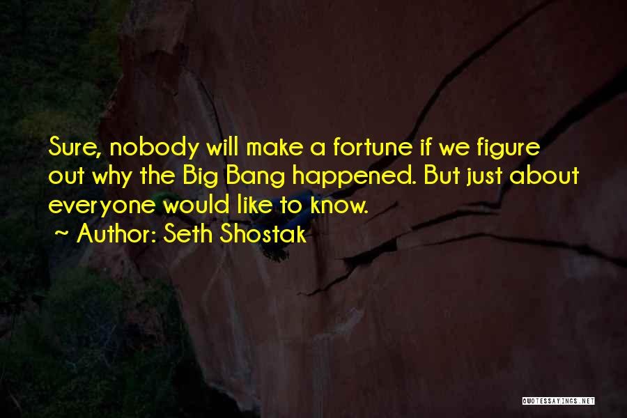 Nobody Know Quotes By Seth Shostak