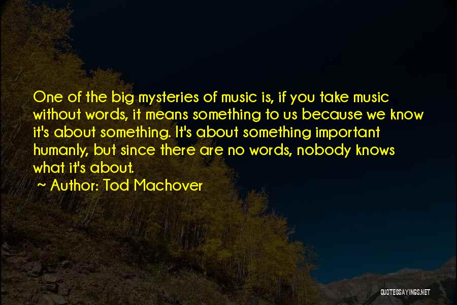 Nobody Knows About Us Quotes By Tod Machover