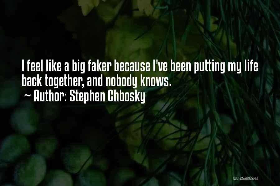 Nobody Knows How I Feel Quotes By Stephen Chbosky