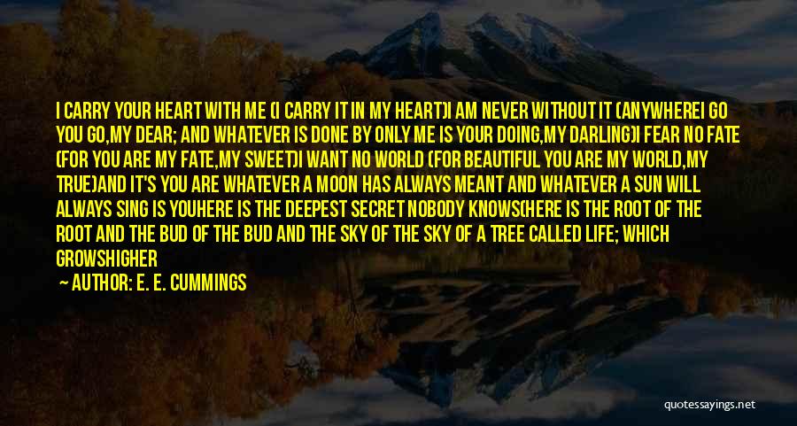 Nobody Knows How Much I Love You Quotes By E. E. Cummings