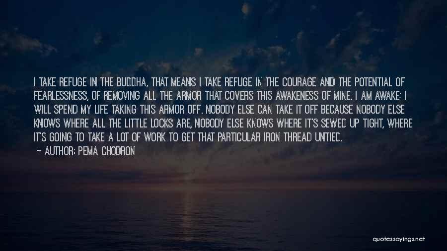 Nobody Knows My Life Quotes By Pema Chodron