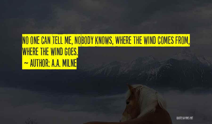 Nobody Knows Quotes By A.A. Milne