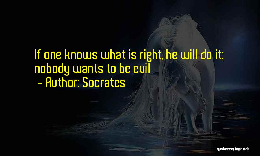 Nobody Knows Quotes By Socrates