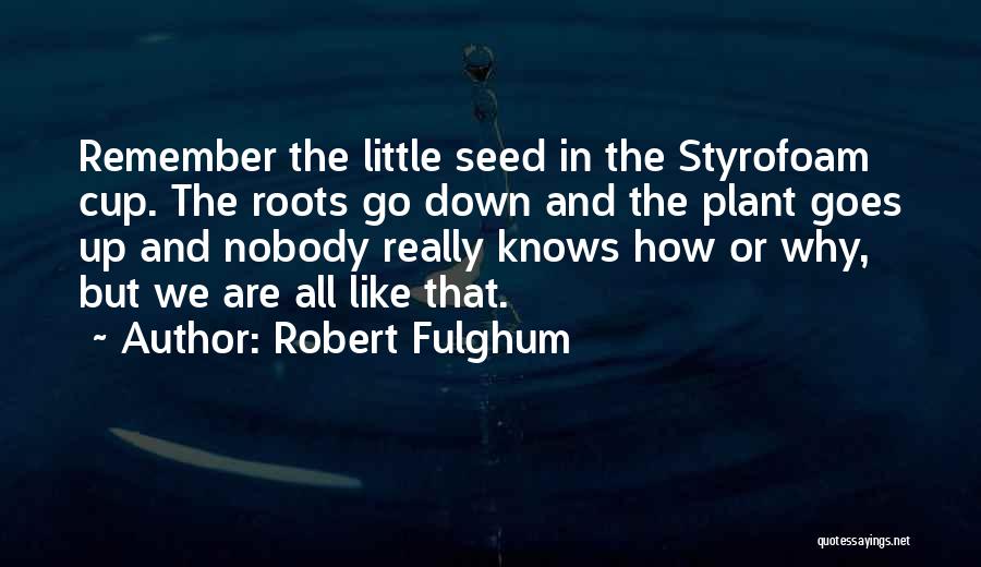 Nobody Knows You Like I Do Quotes By Robert Fulghum