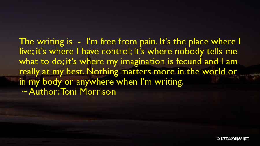 Nobody Matters But Me Quotes By Toni Morrison