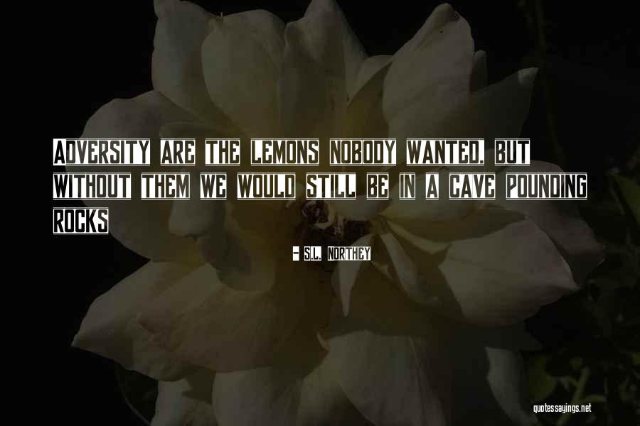 Nobody Quotes Quotes By S.L. Northey Nobody Quotes Quotes By S.L. Northey