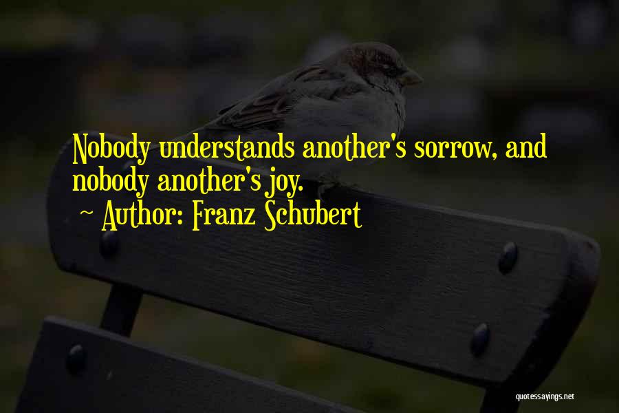 Nobody Understands Quotes By Franz Schubert