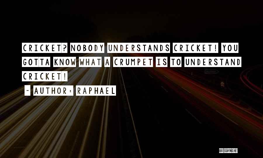 Nobody Understands Quotes By Raphael