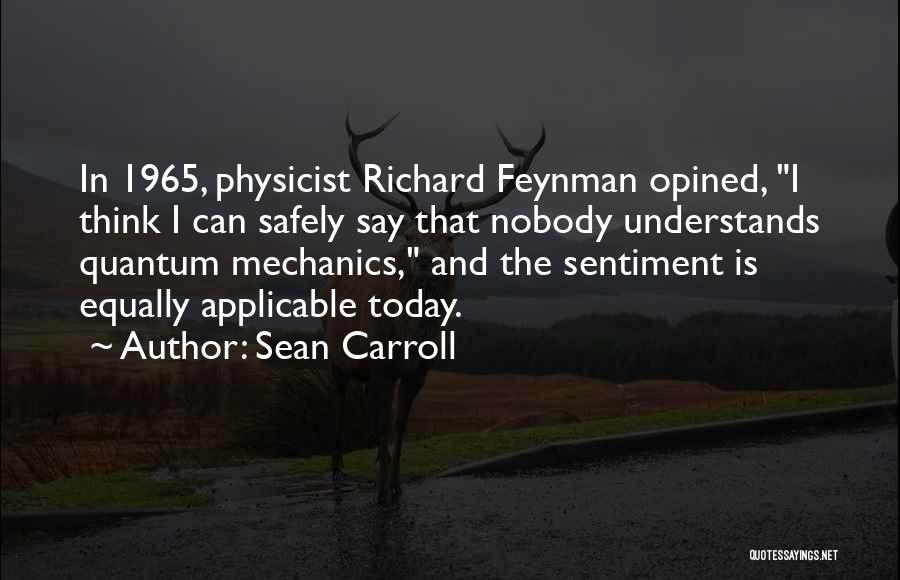 Nobody Understands Quotes By Sean Carroll