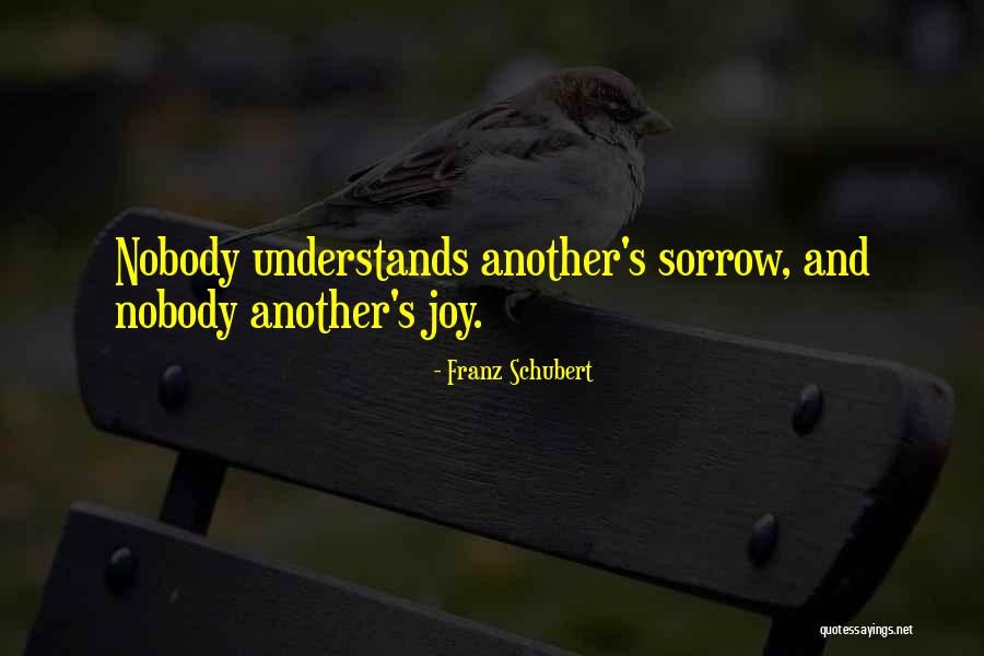 Nobody Understands Us Quotes By Franz Schubert