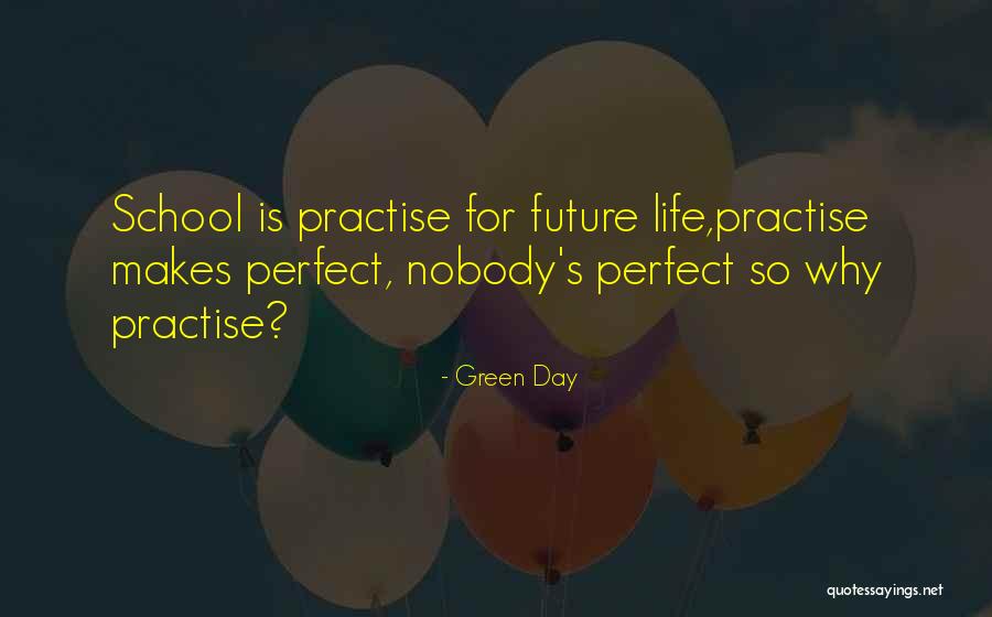 Nobody's Perfect But You're Perfect For Me Quotes By Green Day