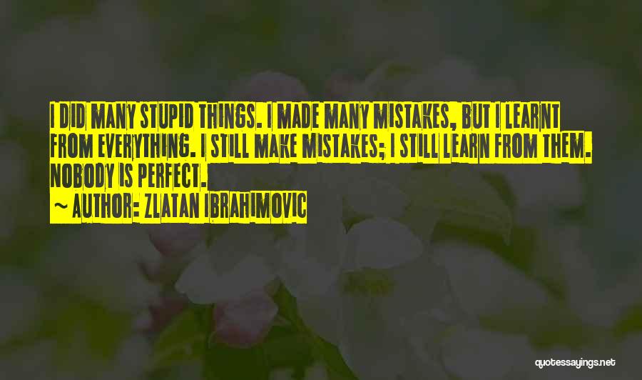 Nobody's Perfect We All Make Mistakes Quotes By Zlatan Ibrahimovic