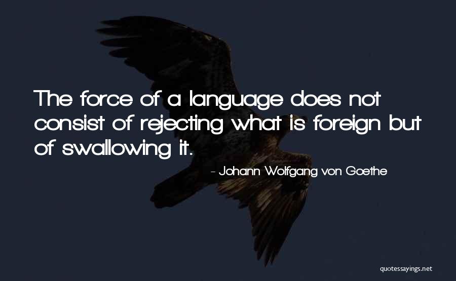 Nobushi Face Quotes By Johann Wolfgang Von Goethe Nobushi Face Quotes By Johann Wolfgang Von Goethe