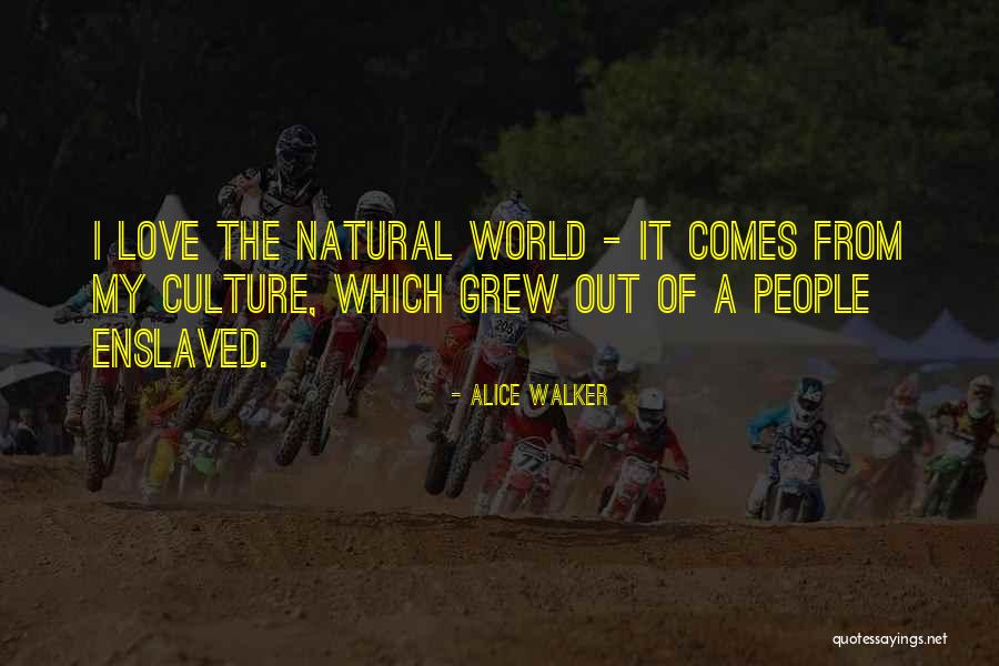 Noces Paving Quotes By Alice Walker Noces Paving Quotes By Alice Walker