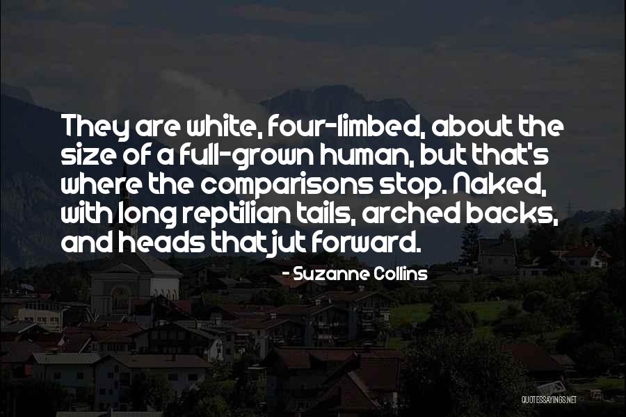 Noch Einmal Fragen Quotes By Suzanne Collins Noch Einmal Fragen Quotes By Suzanne Collins