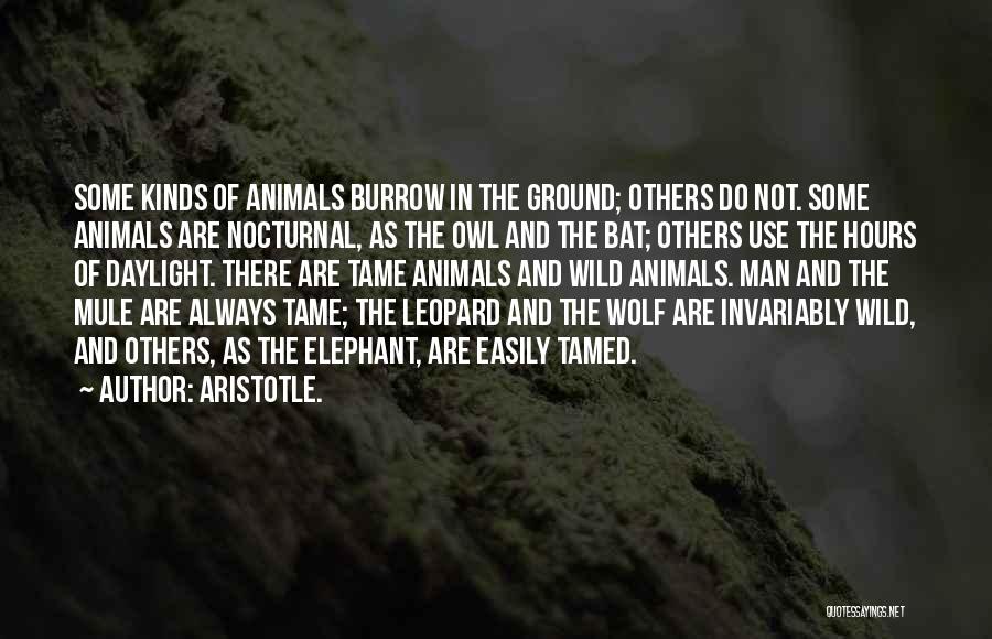 Nocturnal Quotes By Aristotle.