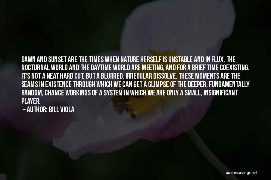 Nocturnal Quotes By Bill Viola