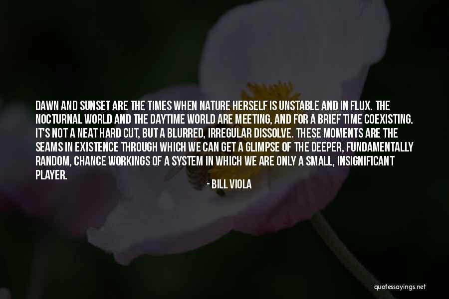 Nocturnal Quotes By Bill Viola