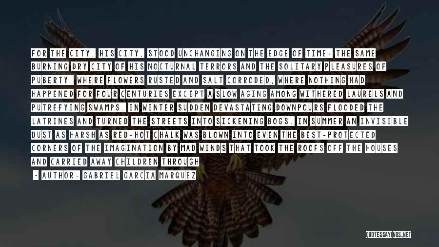 Nocturnal Quotes By Gabriel Garcia Marquez