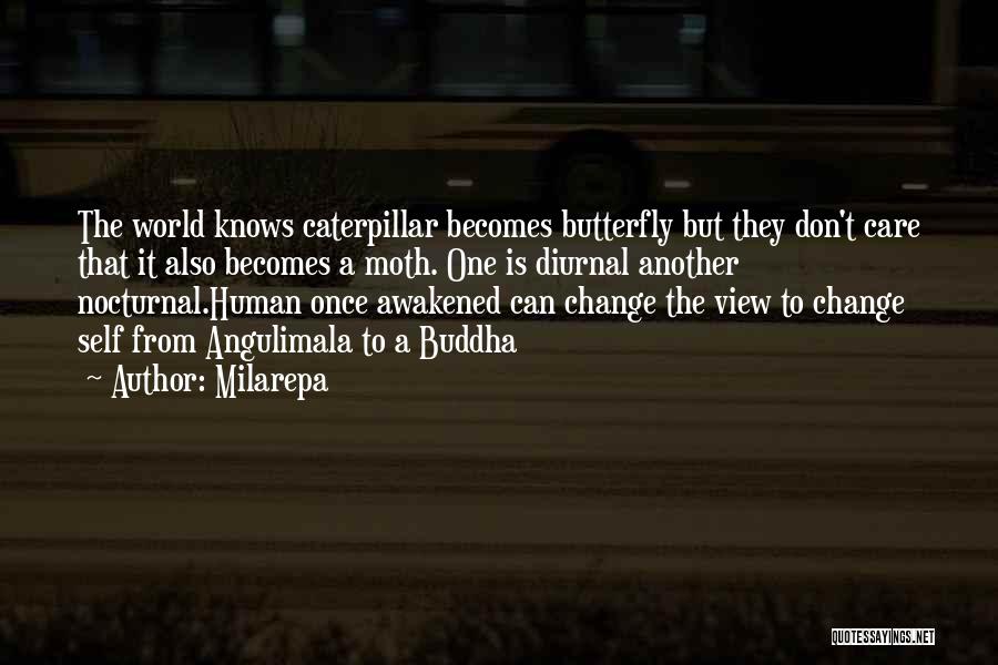 Nocturnal Quotes By Milarepa