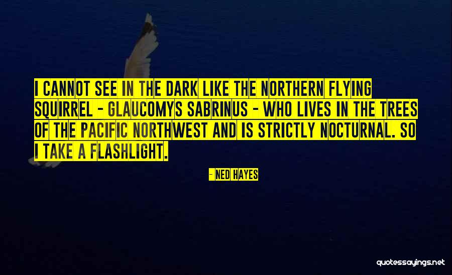 Nocturnal Quotes By Ned Hayes