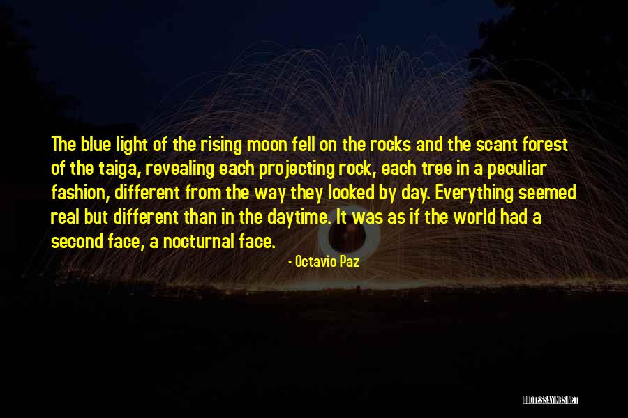 Nocturnal Quotes By Octavio Paz Nocturnal Quotes By Octavio Paz