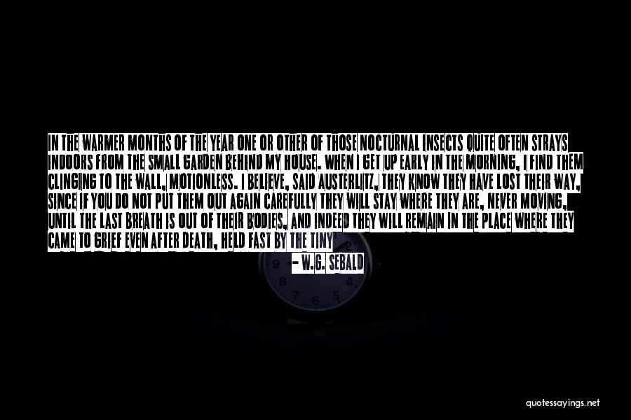 Nocturnal Quotes By W.G. Sebald Nocturnal Quotes By W.G. Sebald