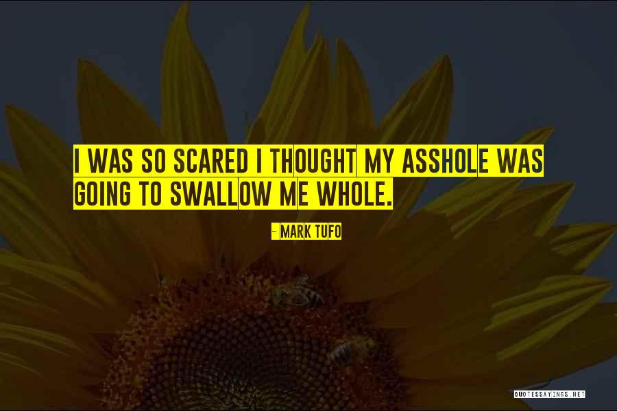 Nodame Anime Quotes By Mark Tufo Nodame Anime Quotes By Mark Tufo