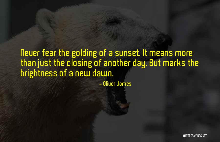 Nodig Hebben Quotes By Oliver James Nodig Hebben Quotes By Oliver James
