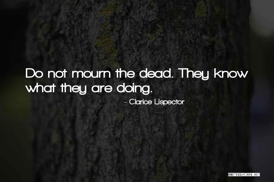 Nody Moln R D Ra Quotes By Clarice Lispector Nody Moln R D Ra Quotes By Clarice Lispector