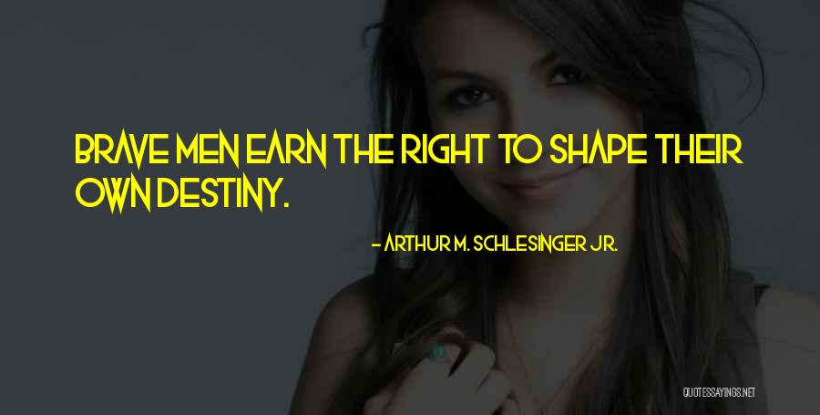 Noebels Quotes By Arthur M. Schlesinger Jr. Noebels Quotes By Arthur M. Schlesinger Jr.