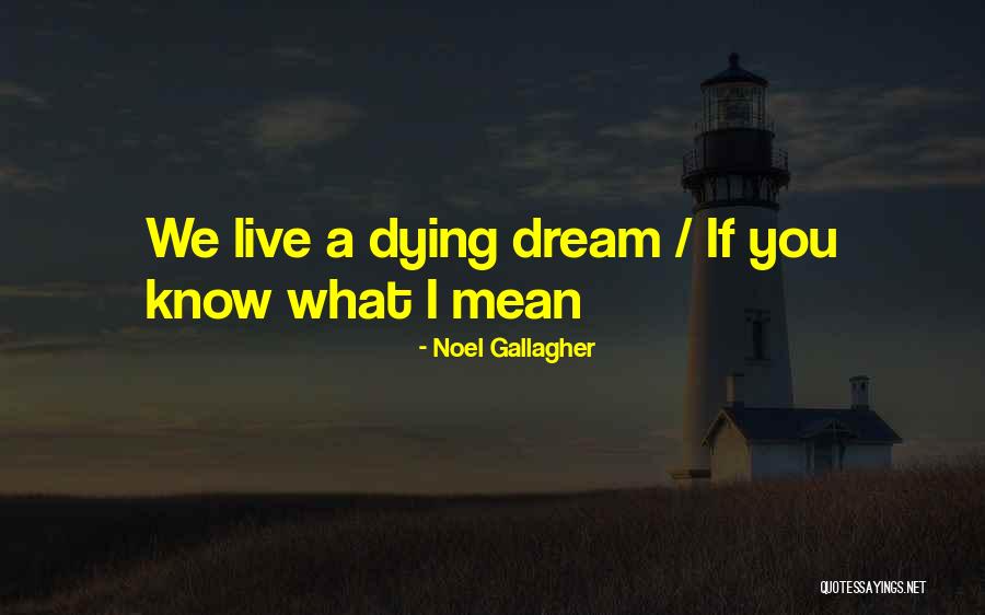 Noel Gallagher Quotes 2108219