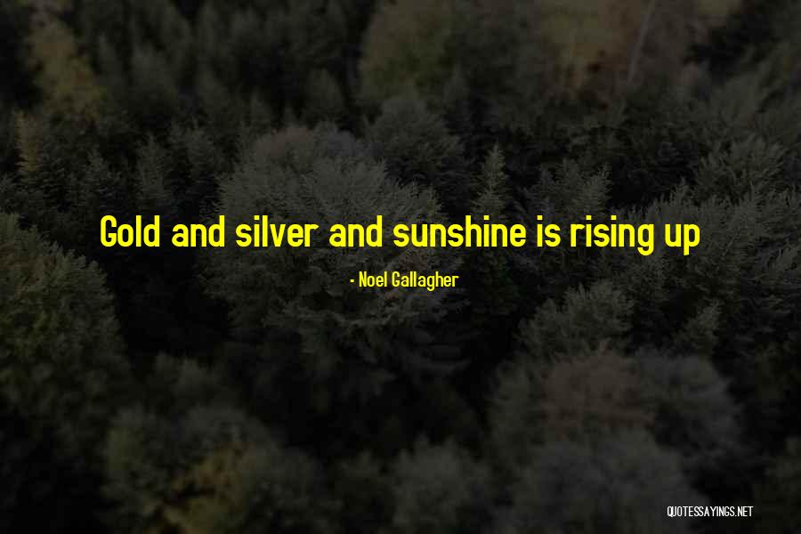 Noel Gallagher Quotes 326183 Noel Gallagher Quotes 326183