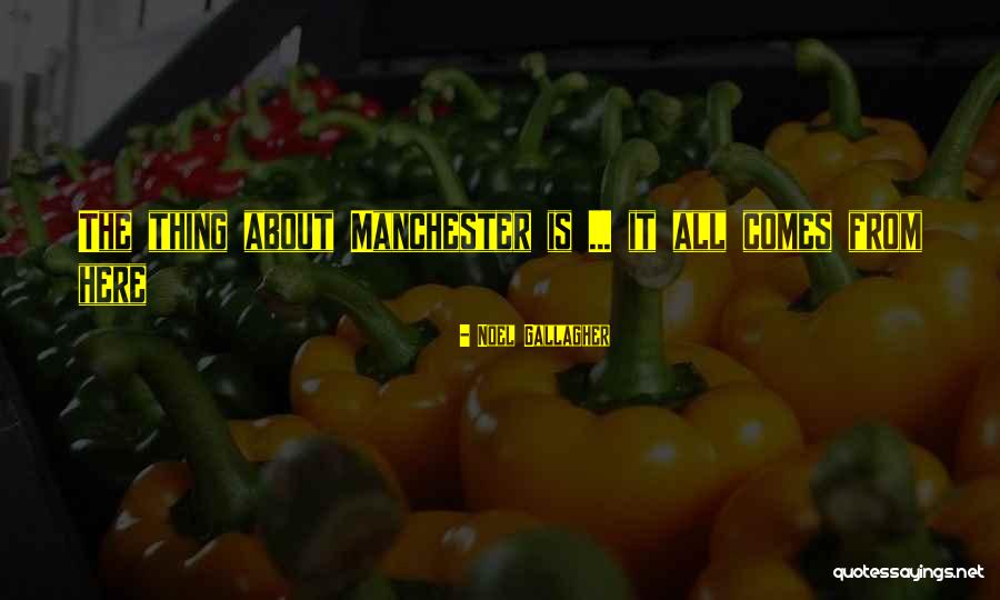 Noel Gallagher Quotes 598591 Noel Gallagher Quotes 598591