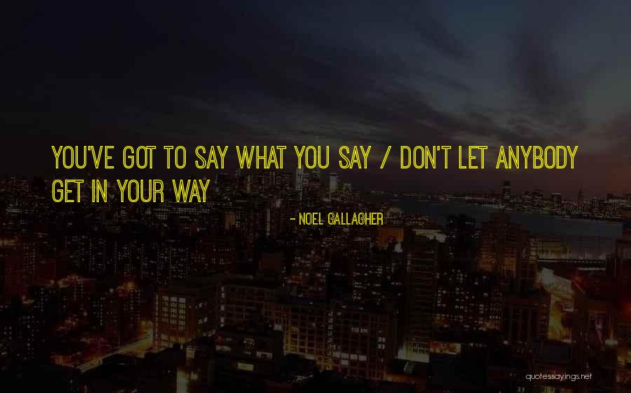 Noel Gallagher Quotes 688485 Noel Gallagher Quotes 688485