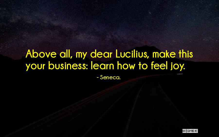 Noelette Quotes By Seneca. Noelette Quotes By Seneca.