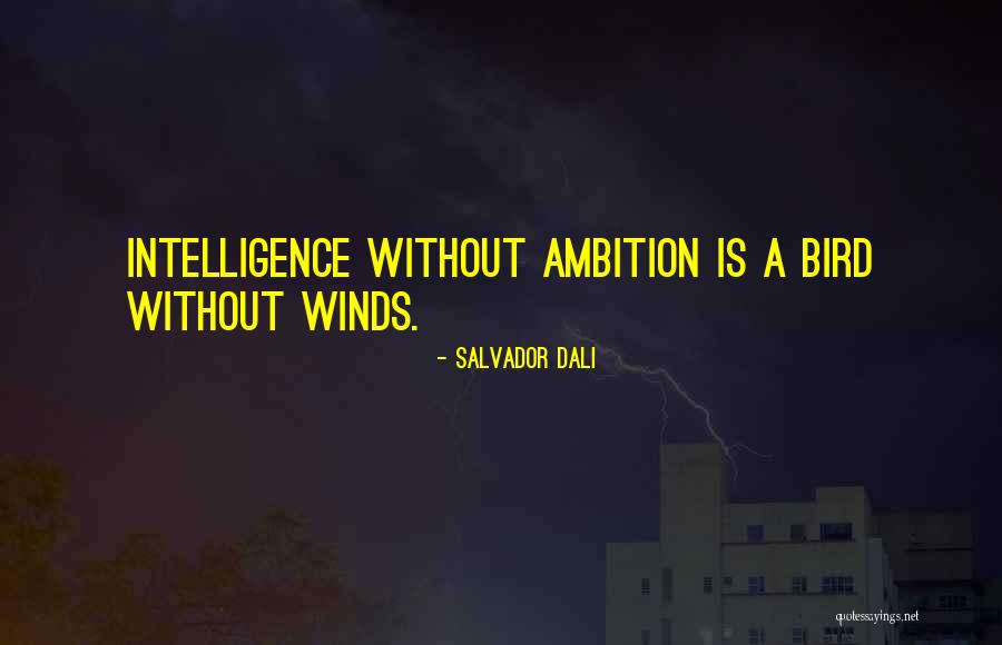 Noema Quotes By Salvador Dali Noema Quotes By Salvador Dali