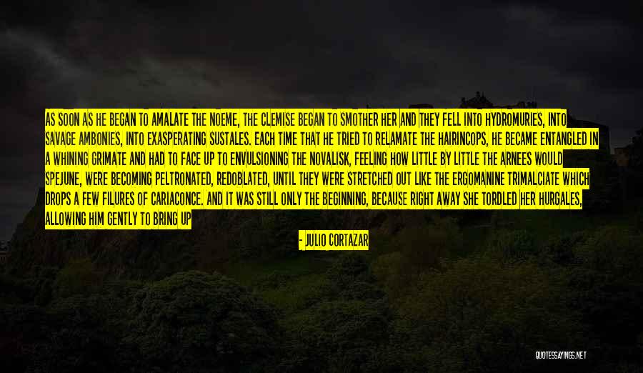 Noeme Quotes By Julio Cortazar Noeme Quotes By Julio Cortazar