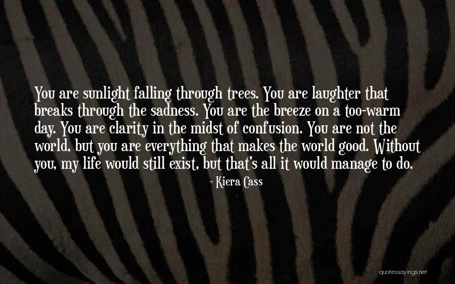 Noffsinger Manufacturing Quotes By Kiera Cass Noffsinger Manufacturing Quotes By Kiera Cass